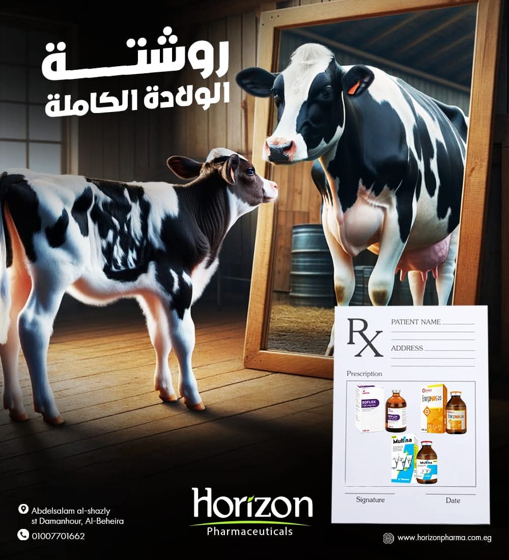 Horizon Case Study image 2