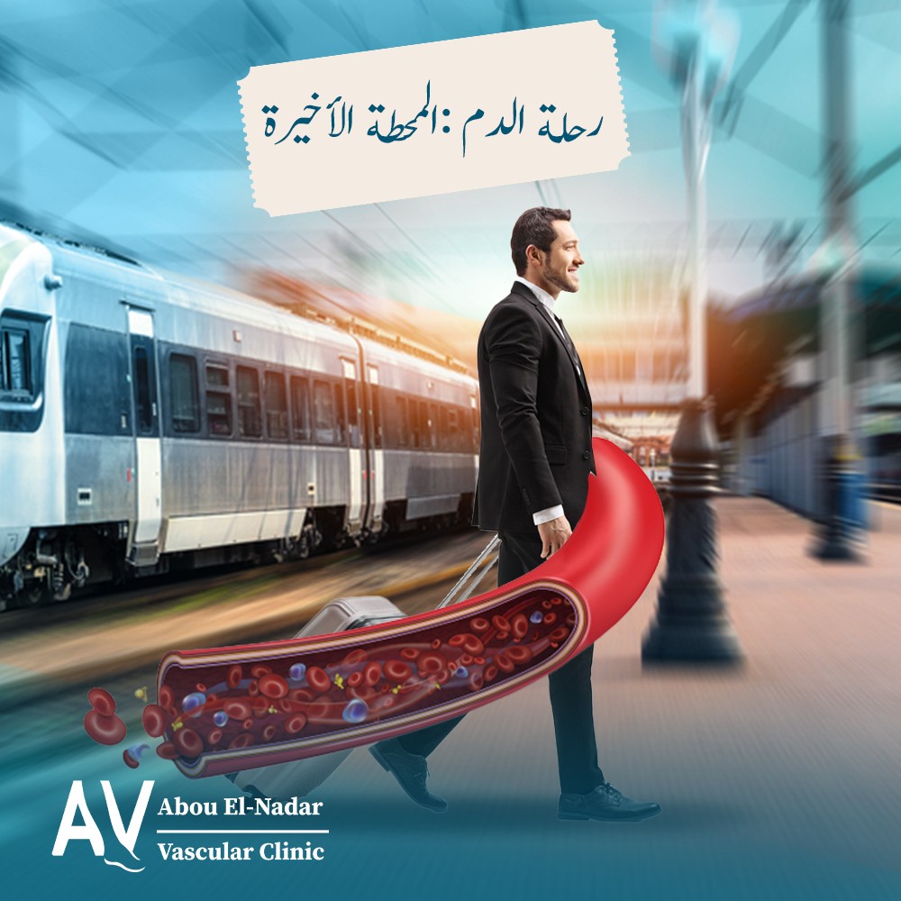 Dr. Abo Elnadar Brand Development